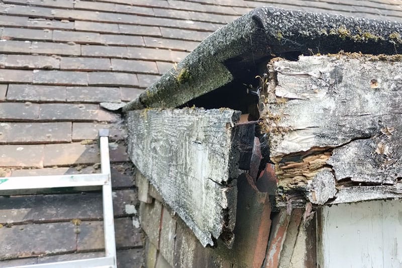 Exterior painting and repairs Exterior painting and repairs